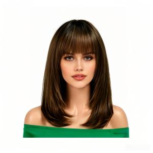 Human Hair Wigs layered Straight Hair Wig